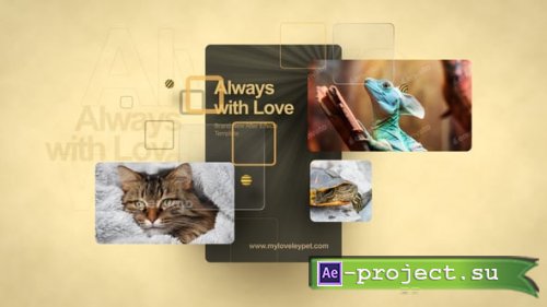 Videohive - Beloved Pets - 60283444 - Project for After Effects