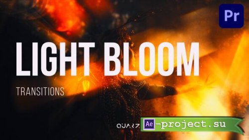 Videohive - Light Bloom Transitions - 61327002 - Premiere Pro Templates