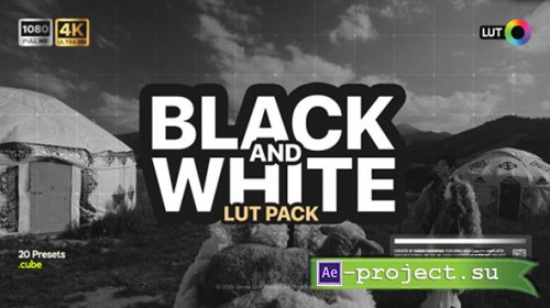 Videohive - Black & White LUTs - 61422019 