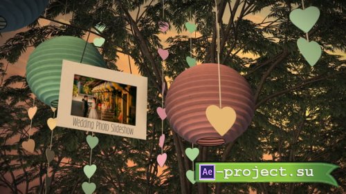 Videohive - Wedding Photo Slideshow - 61539536 - Project for After Effects
