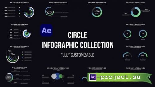 Videohive - Circle Infographics - 61373374 - Project for After Effects