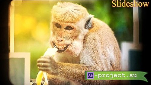 MA Slideshow 258398 - Project for After Effects