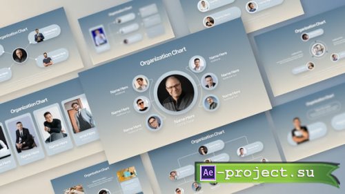 Videohive - Organization Chart Animation - 61827993 - Project for After Effects