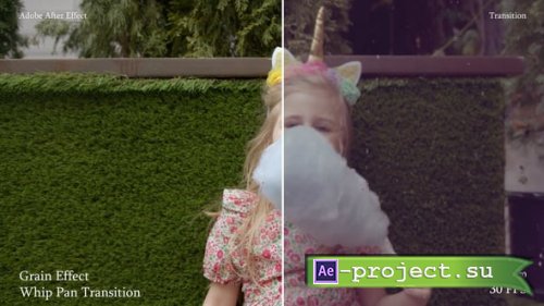 Videohive - Grain Overlay Whip Pan Transition #12 - 61921679 - Project for After Effects