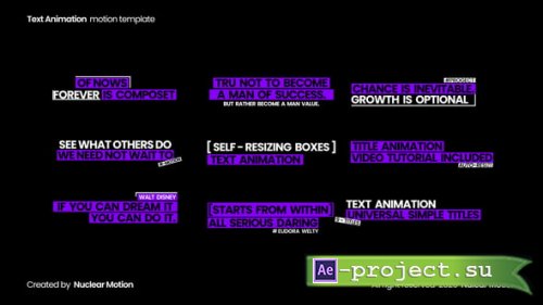 Videohive -  Text Animation - 62058291 - Project for After Effects