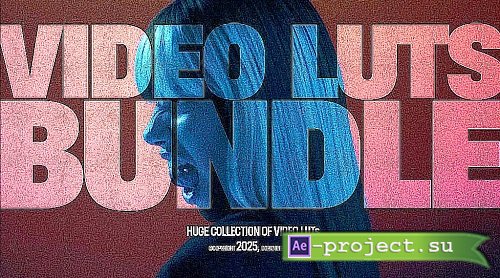 The Complete LUT Bundle [CUBE, DPX, DRX] - Presets (LUTs & Powergrades)