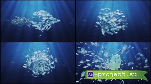 Videohive - Ocean/ Blue Sea Eco Fish Logo - 31351639 - Project for After Effects