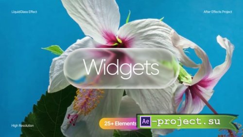 Videohive - Widgets - 61677873 - Project for After Effects