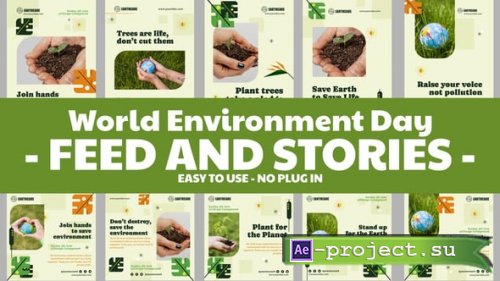 Videohive - World Environment Day Feed and Stories Instagram - 58041370 - Project for After Effects