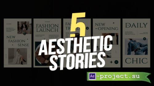 Videohive - Aesthetic Stories - 62471682 - Project for After Effects