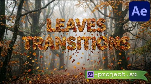Videohive - Leaves Transitions for After Effects - 62993185 - Project & Script for After Effects