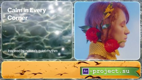Videohive - Rounded Glass Split Screen - 63632008 - Project for After Effects