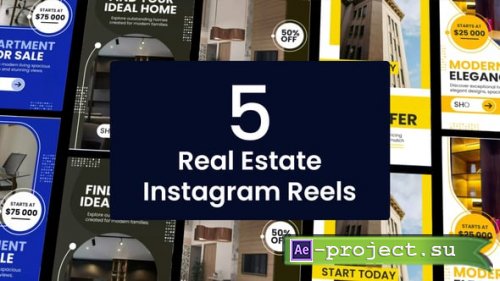 Videohive - Real Estate Instagram Reels - 63761343 - Project for After Effects