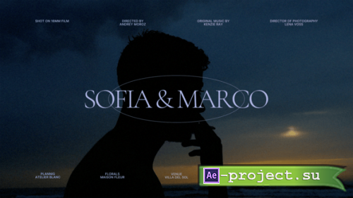 Videohive - Wedding Titles - 64778445 - Project for After Effects