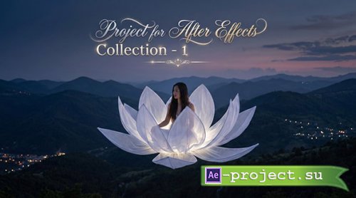 VideoHiveCollection - 1 (Project for After Effects 23)